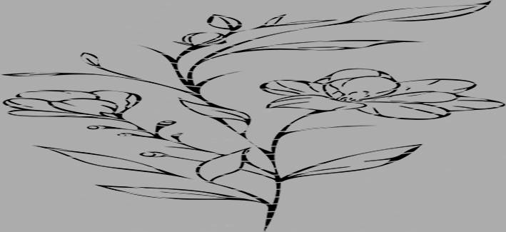 16oz Element-EN-1207